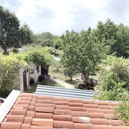 Filich Experience * Labin (Istria)
